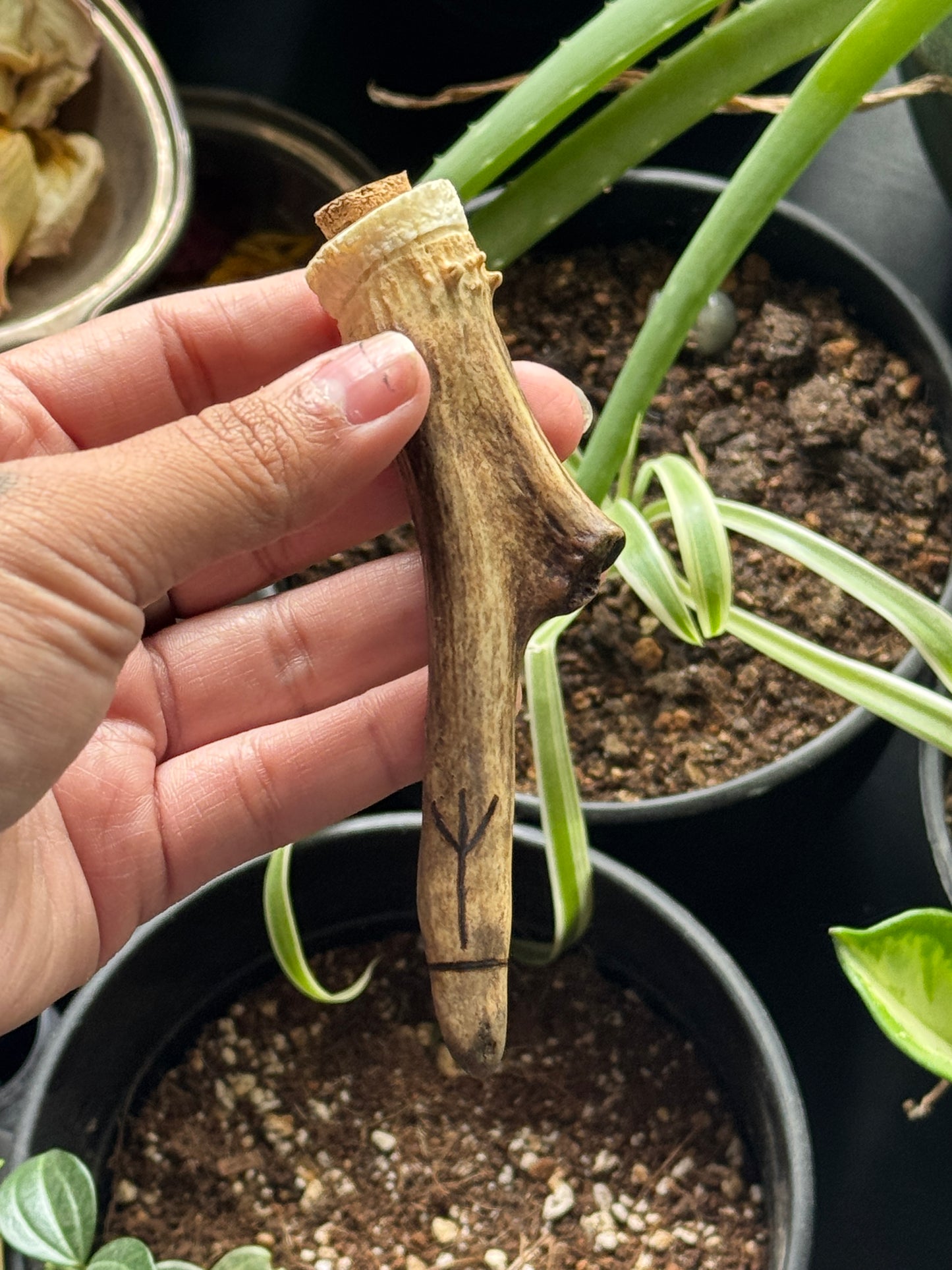 Protection Antler Container