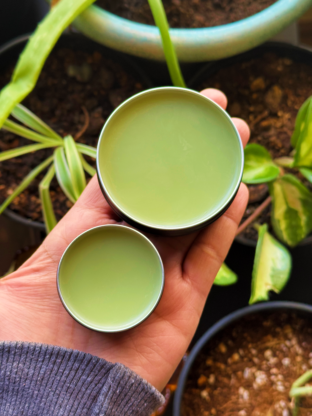 Yarrow & Plantain Salve