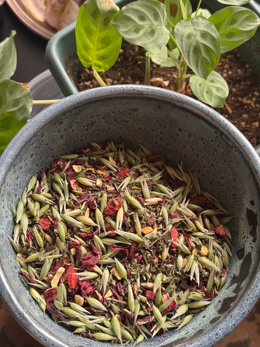 Summer Vibes Herbal Tea