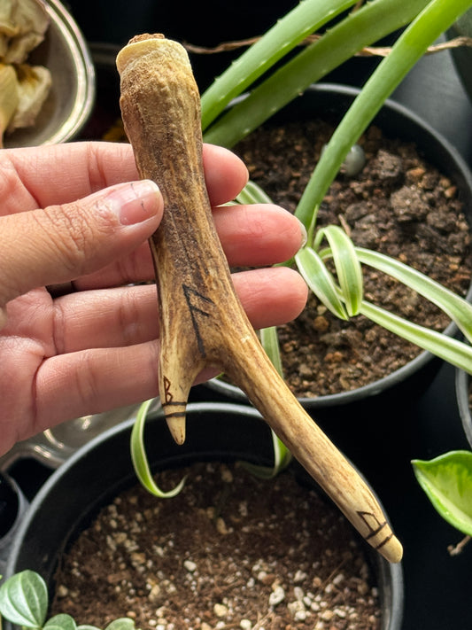 Offering To The Gods Antler Container