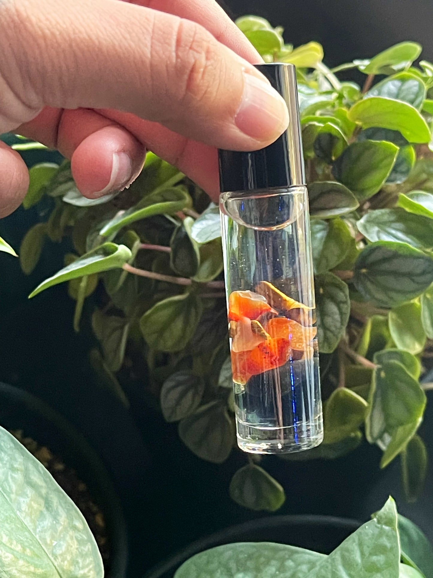 Hallowed Ground 10ml Rollerball Perfume
