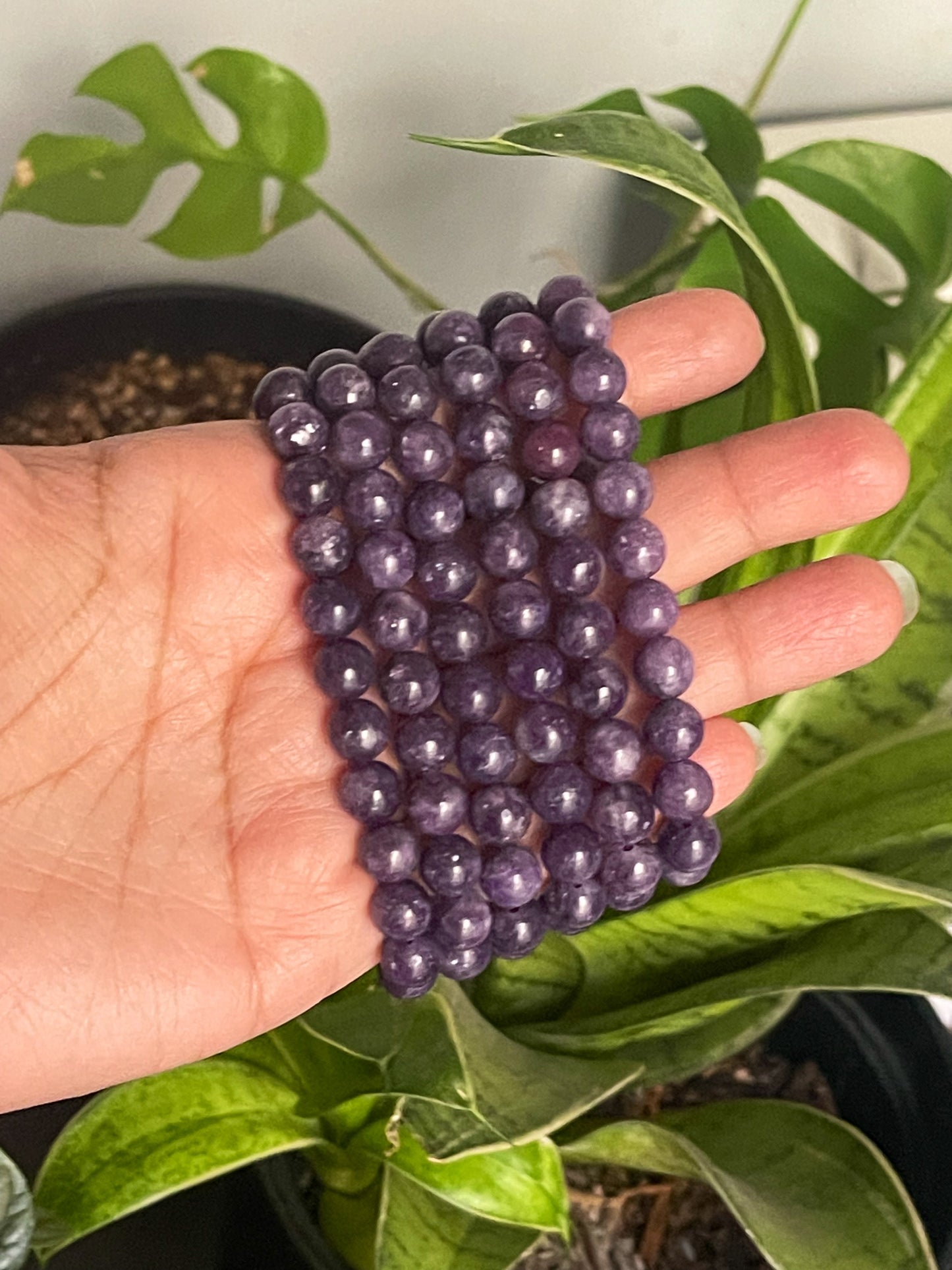Lepidolite Bracelets