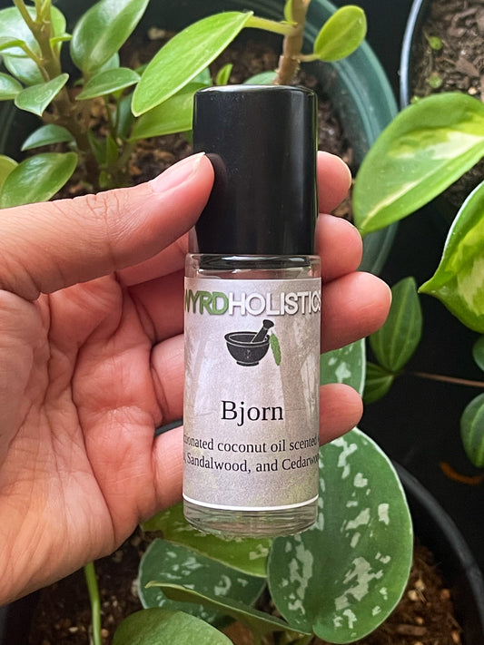 Bjorn Rollerball