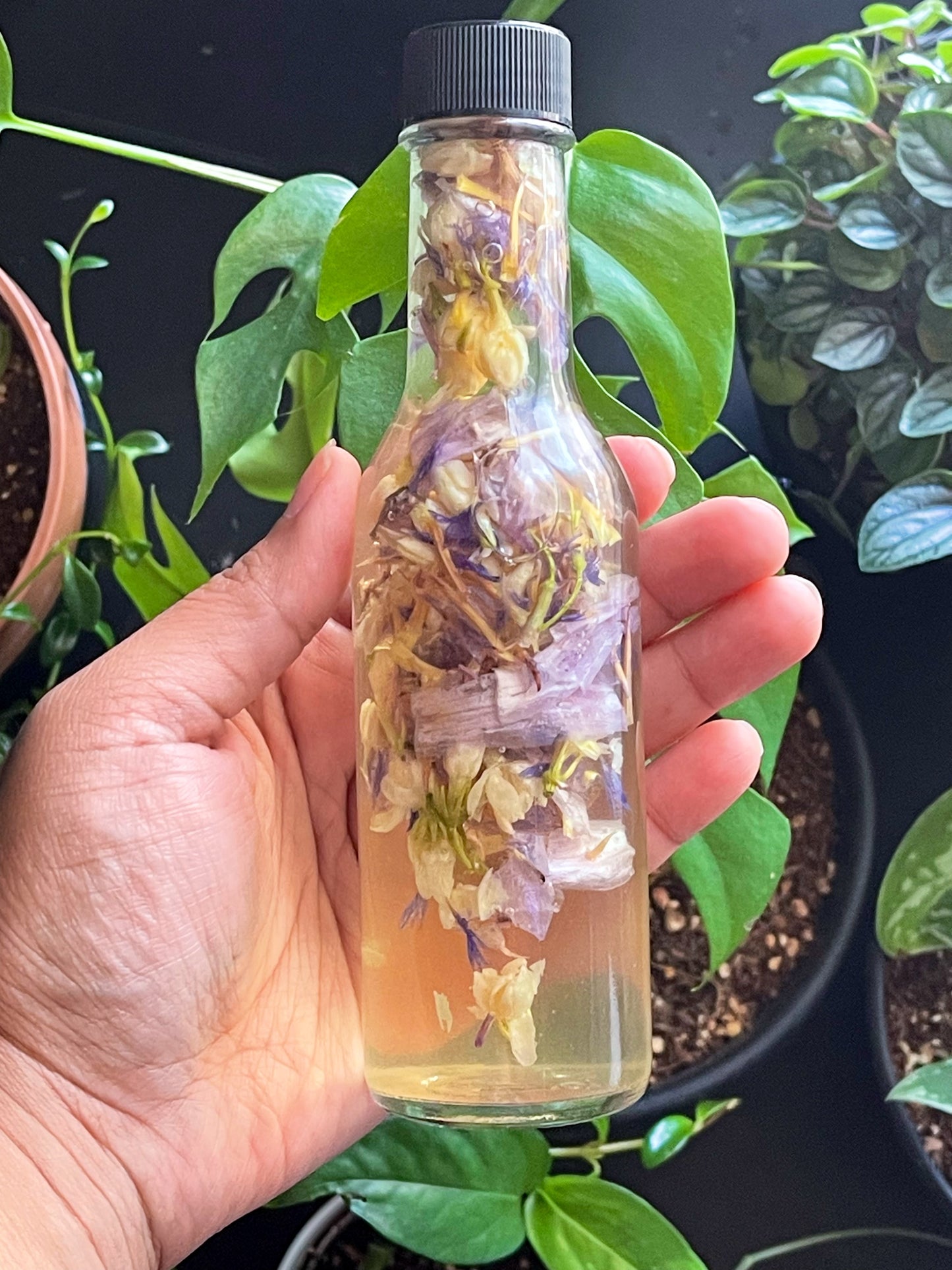 Spiritual Waters // Banos // Spiritual Colognes