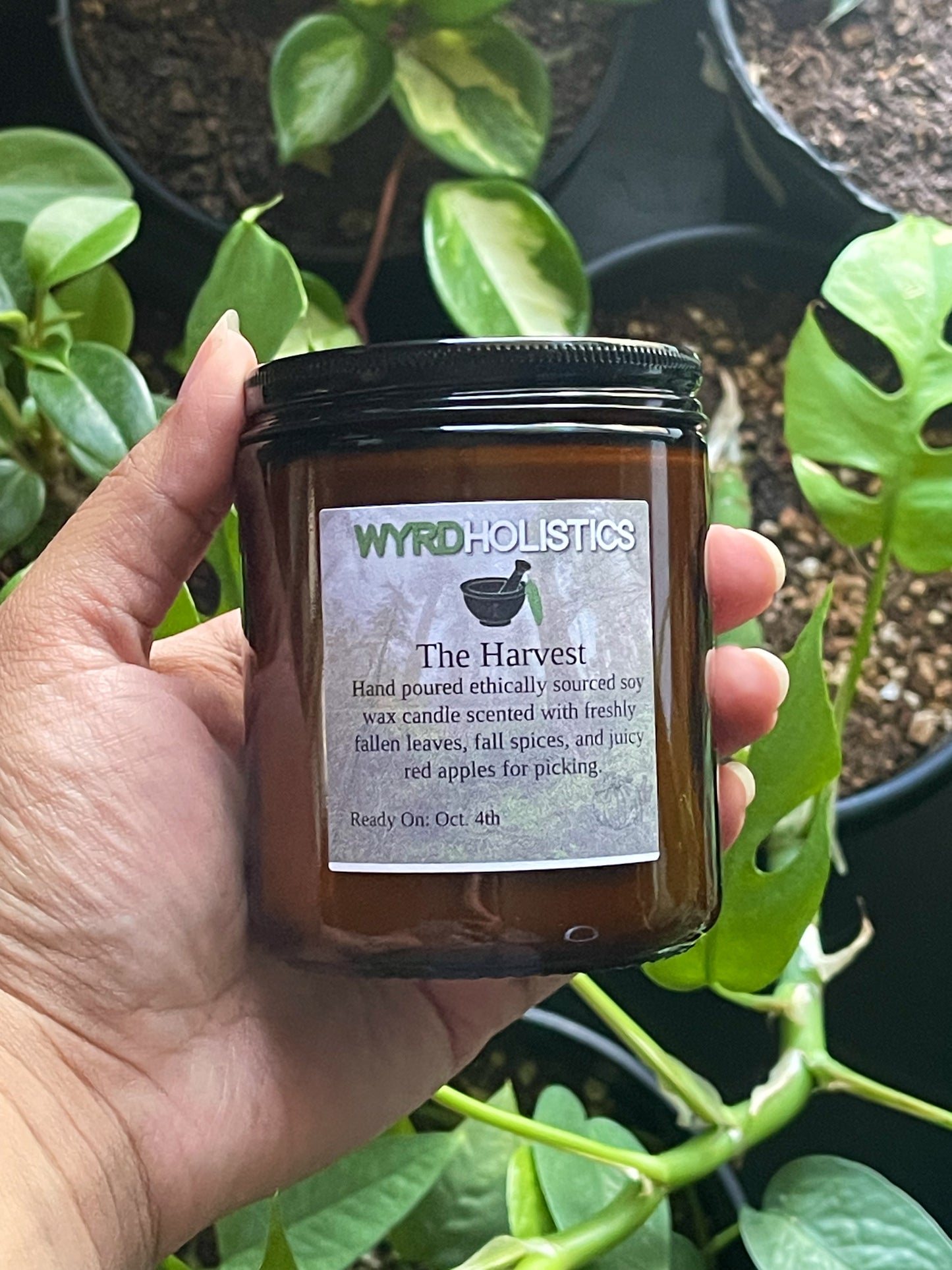 The Harvest Organic Soy Wax Candle