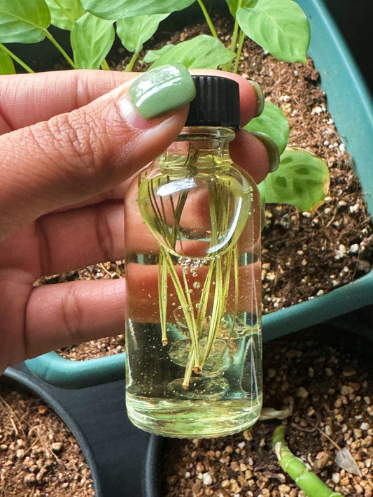 Sacred Circle Ritual Intention Oil