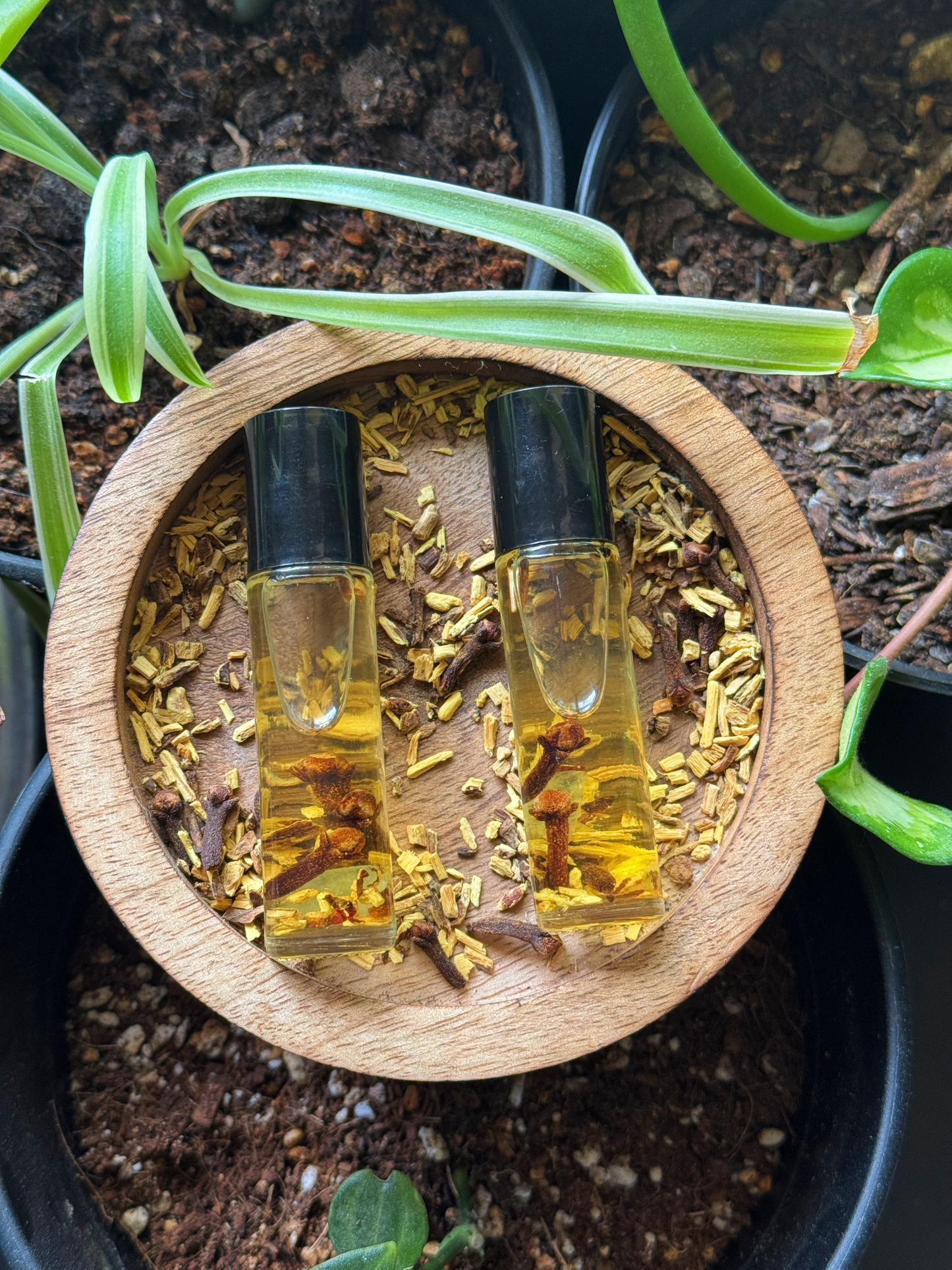 Syreena Lip Oil // Commanding Lip Oil