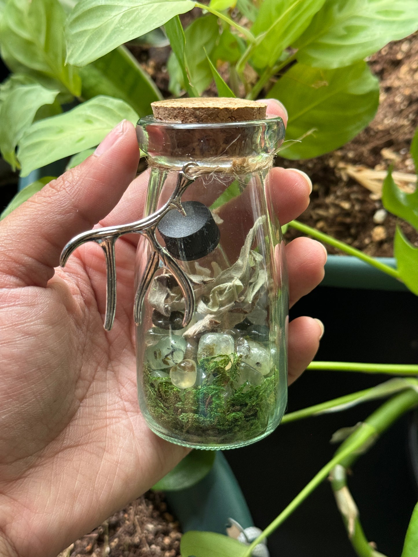 Stag Spirit Jar