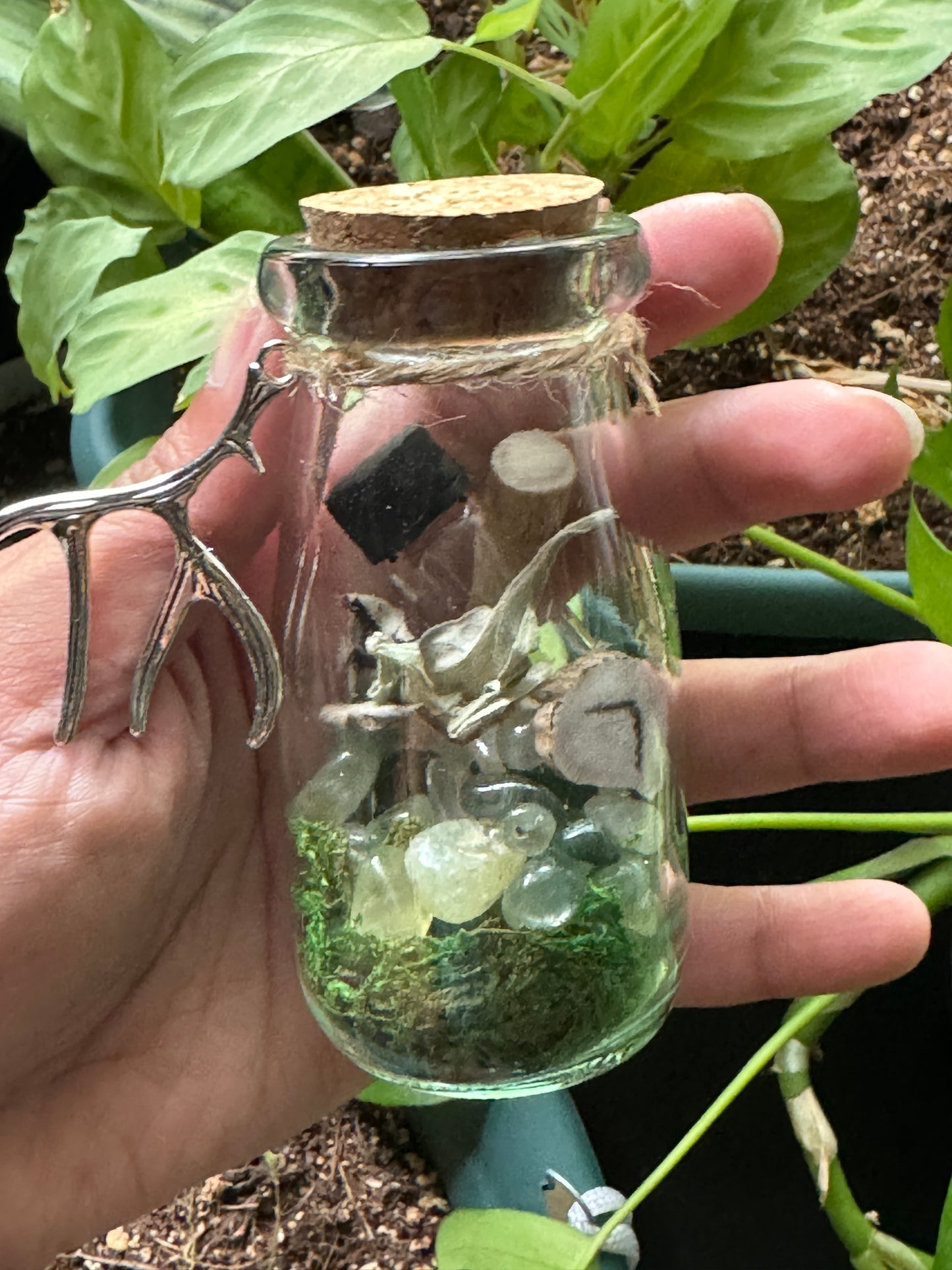 Stag Spirit Jar