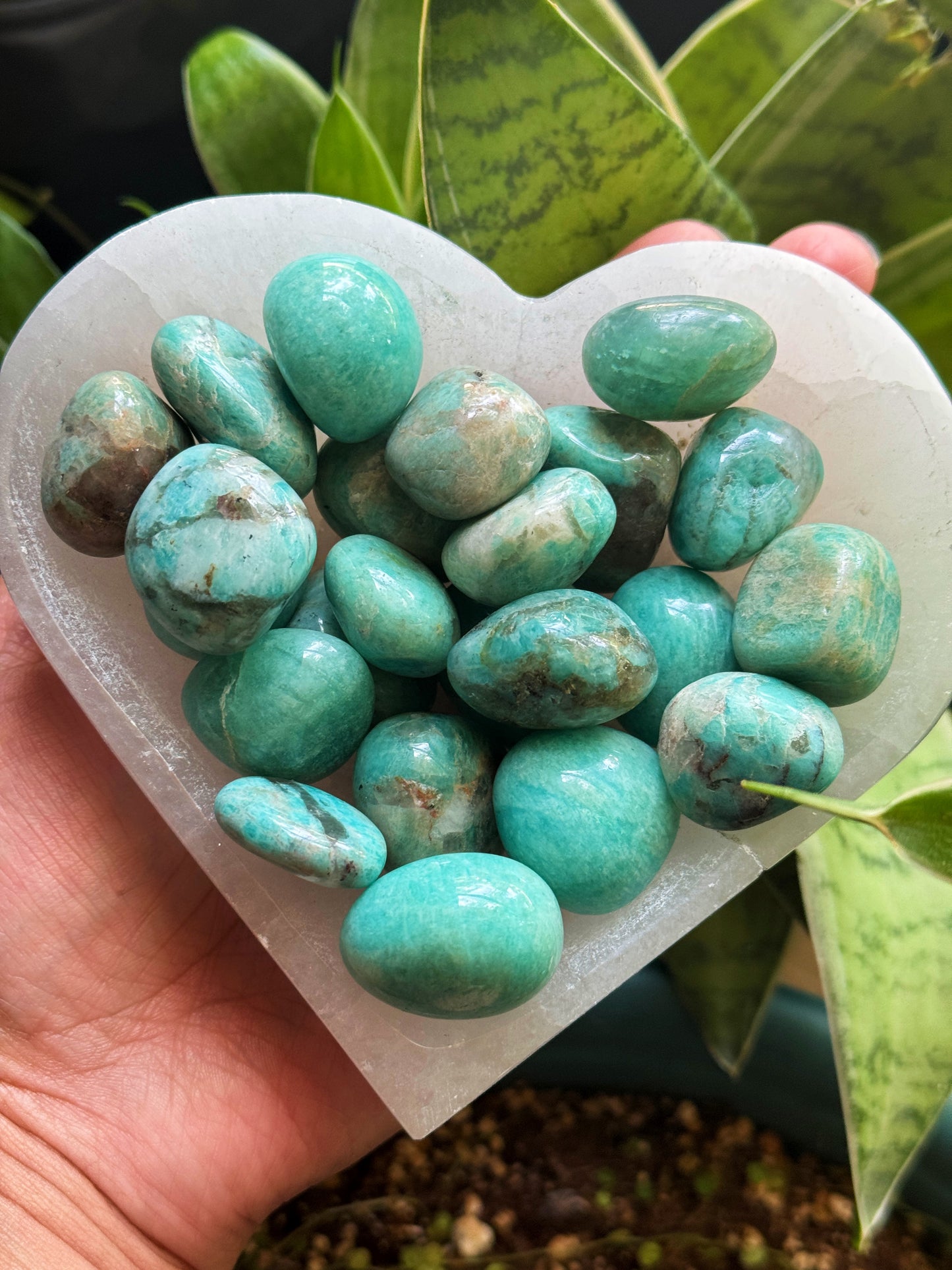 Amazonite Tumbles