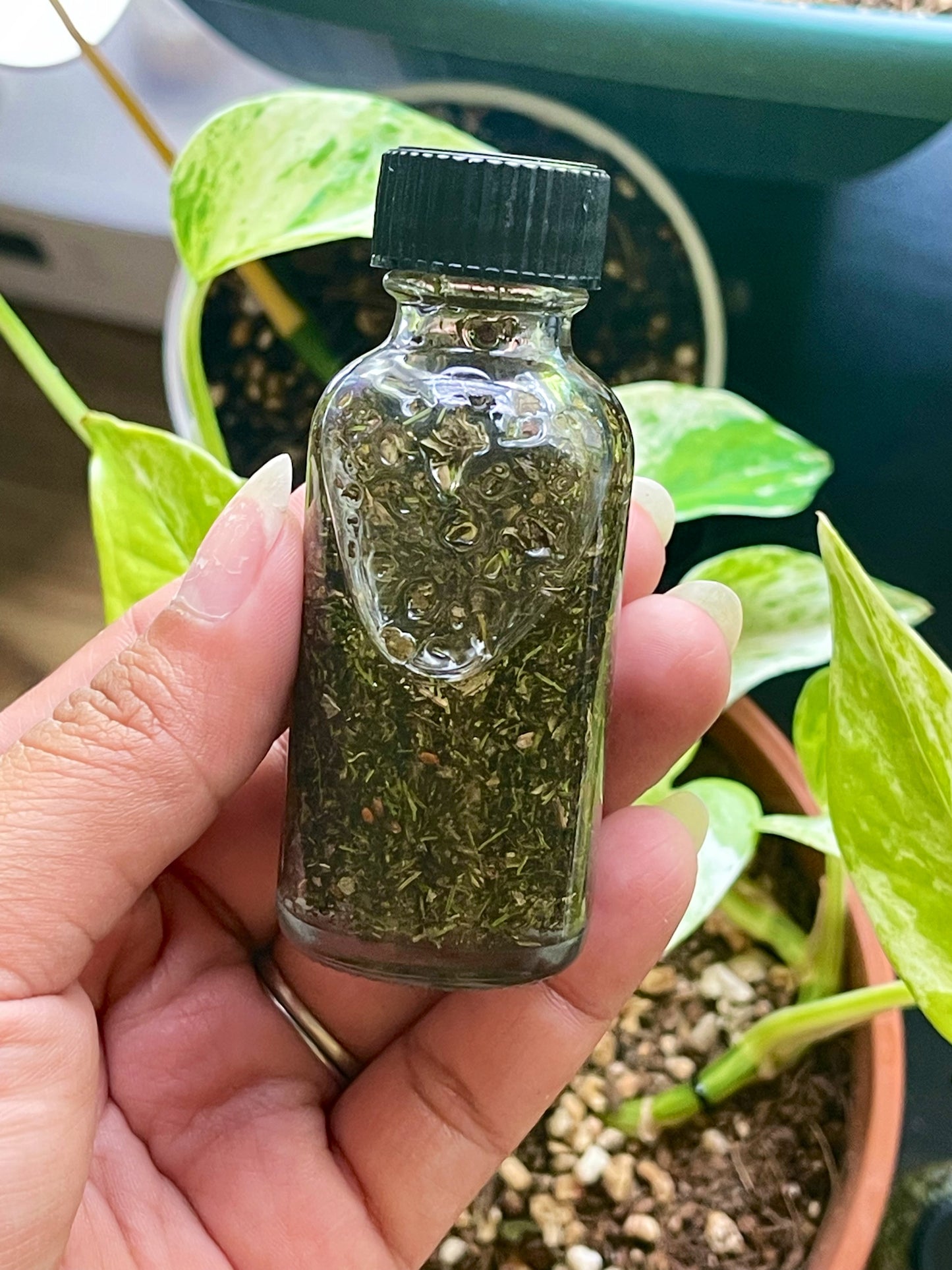 Prosperity Intention Oil