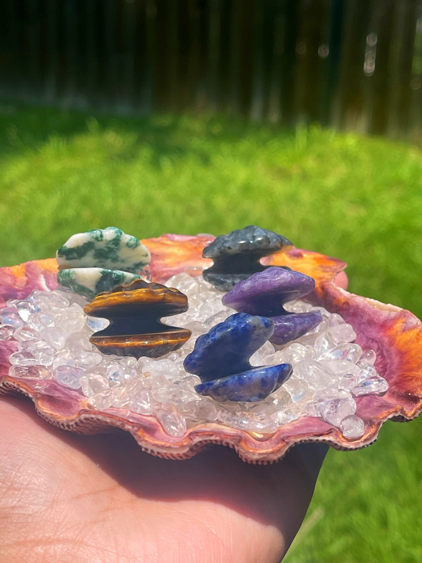 Crystal Clam Seashells Sm