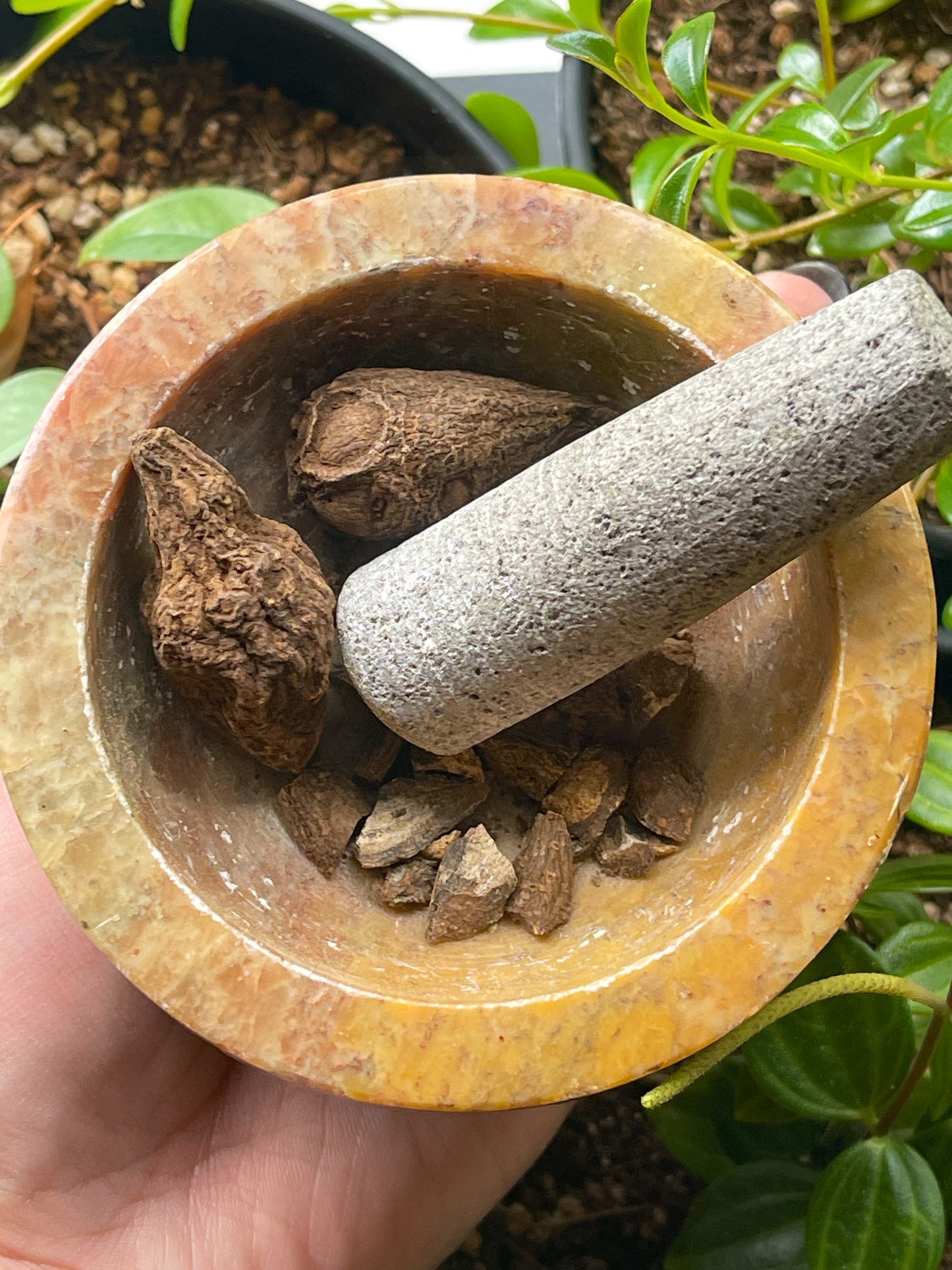 Enchantress Intention Oil