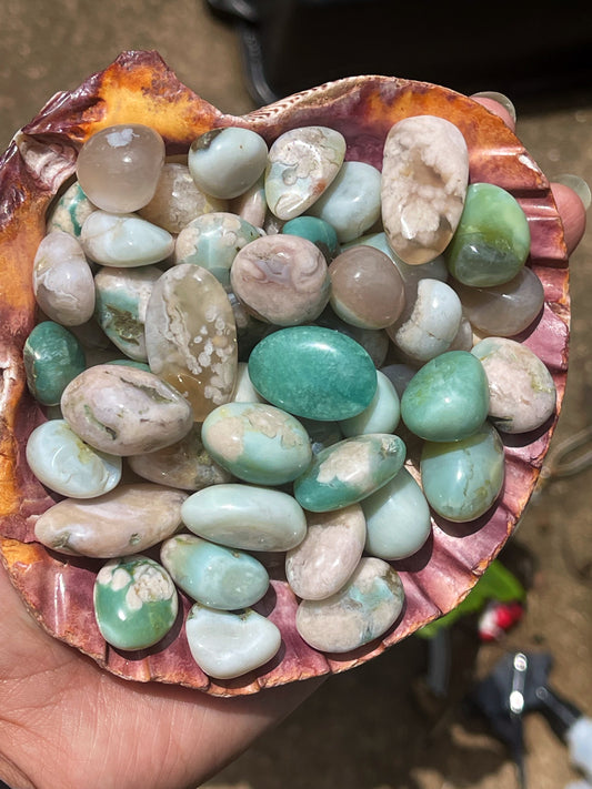 Green Flower Agate Tumbles