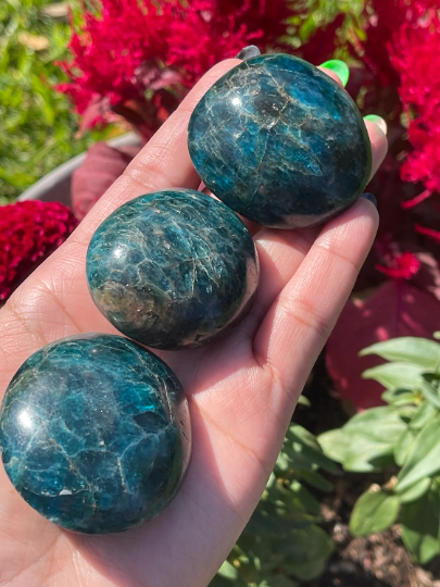 Blue Apatite Palm Stones XL & Lg