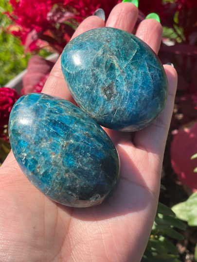 Blue Apatite Palm Stones XL & Lg