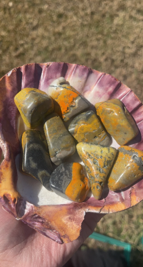 Bumblebee Jasper Tumbles