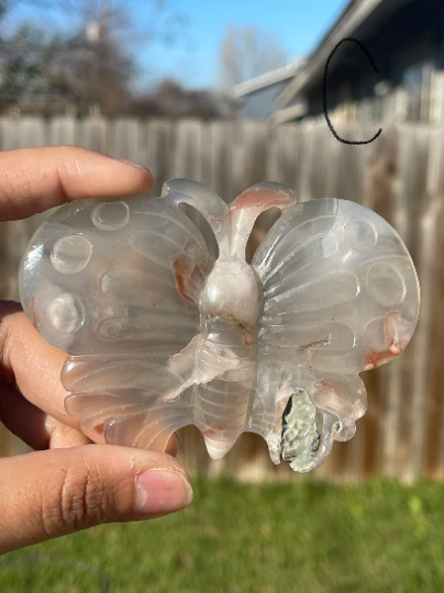 Flower Agate Butterfly
