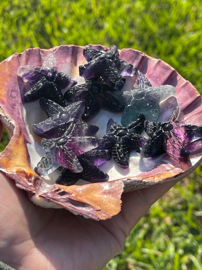 Fluorite Starfish