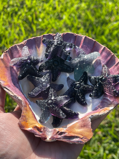 Fluorite Starfish