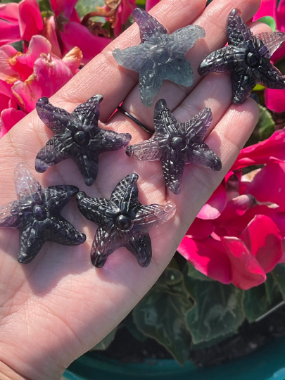 Fluorite Starfish