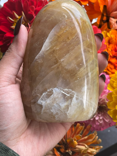 Golden Healer Free Forms with Rainbows