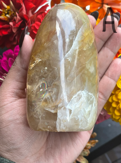 Golden Healer Free Forms with Rainbows