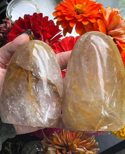 Golden Healer Free Forms with Rainbows