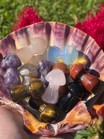 Large Crystal Mushrooms Intuitively Picked