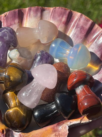 Large Crystal Mushrooms Intuitively Picked
