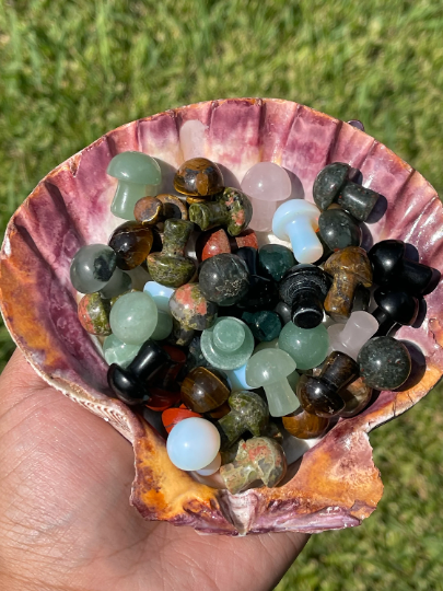 Crystal Mushroom Intuitively Picked