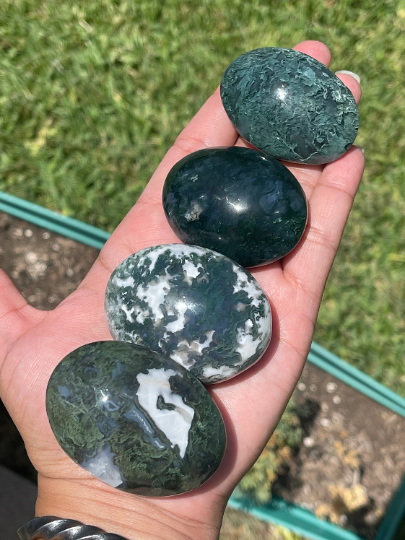 Moss Agate Palm Stones