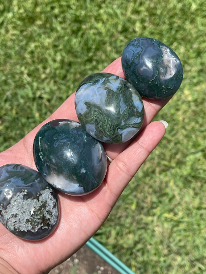 Moss Agate Palm Stones