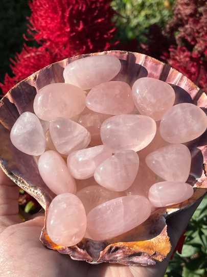 Rose Quartz Tumbles
