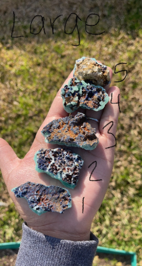 Raw Aragonite with Azurite Specimens