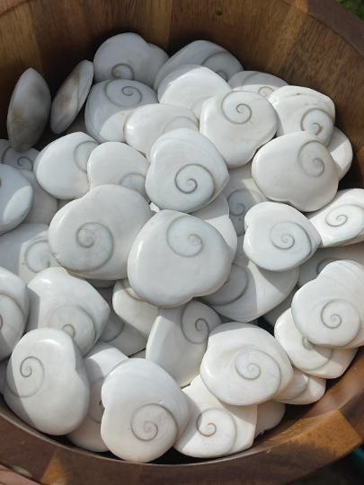 Shiva Eye Shell Heart Mermaids Money