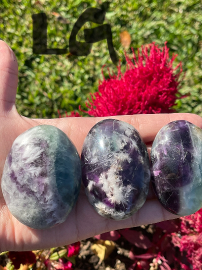 Snowflake Fluorite Palm Stone
