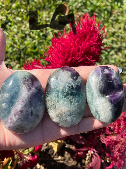 Snowflake Fluorite Palm Stone