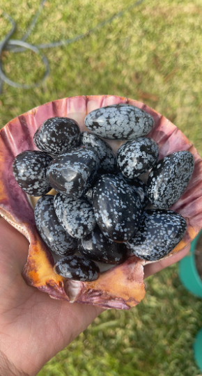 Snowflake Obsidian Tumbles