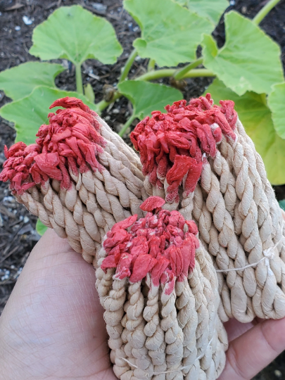 Tibetan Rope Incense