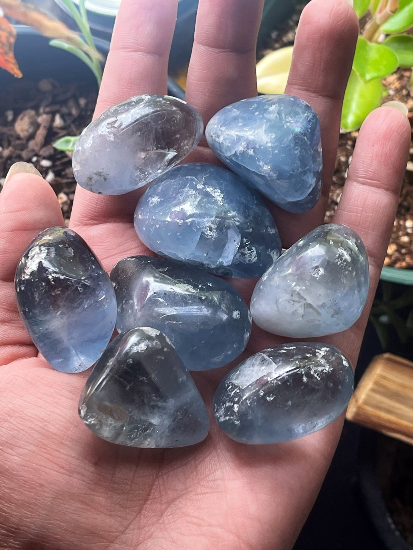 Celestite Tumbles