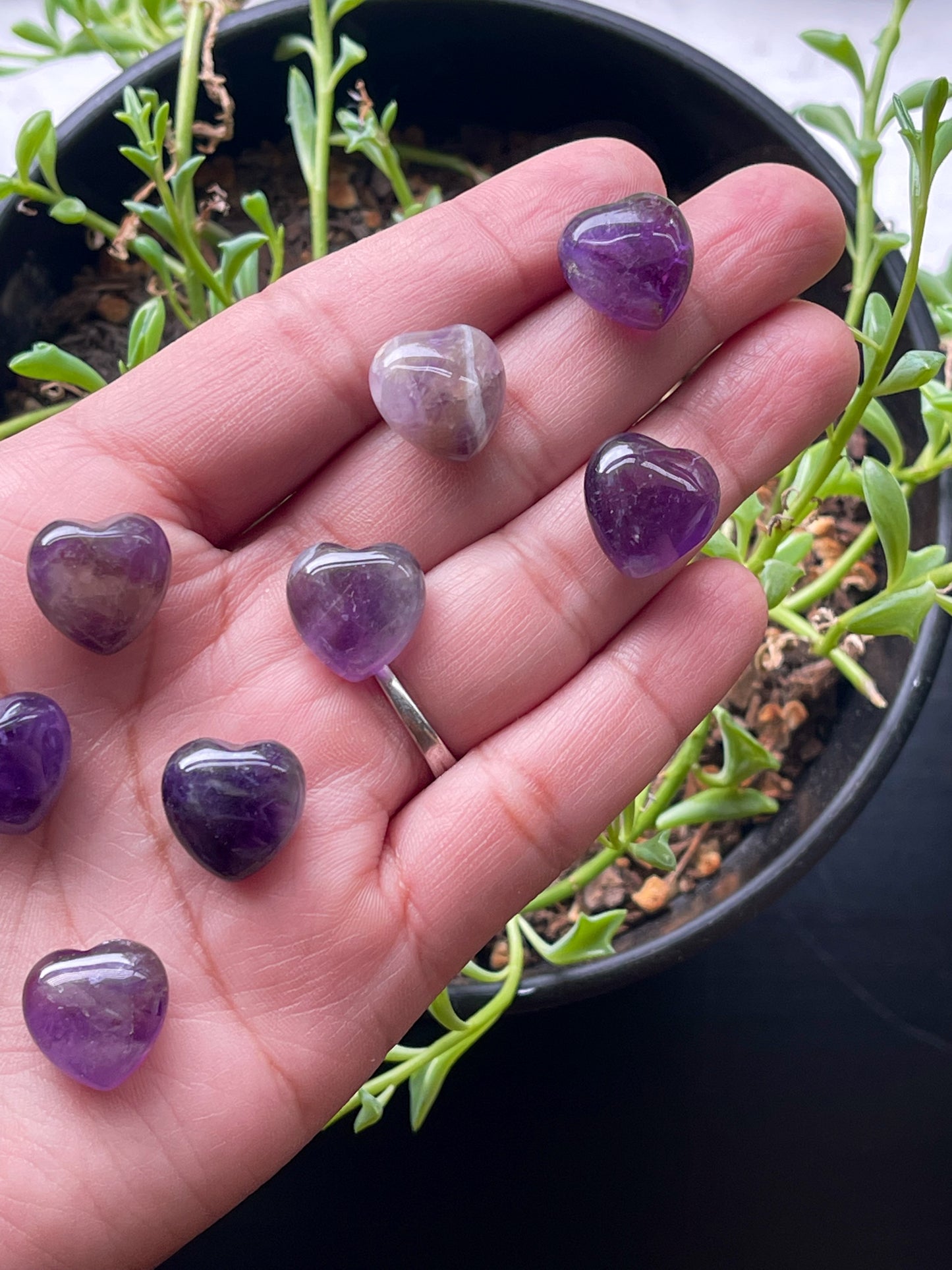 Extra Mini Dream Amethyst Hearts