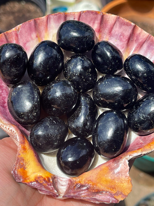 Black Tourmaline Tumbles