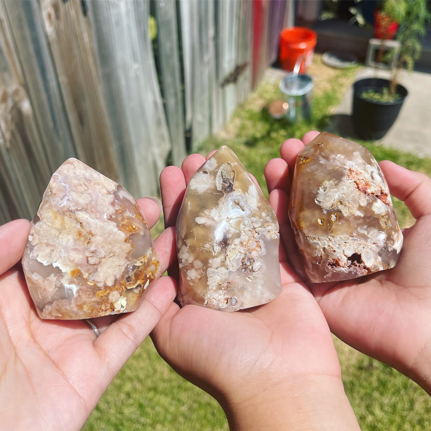 Flower Agate Flames