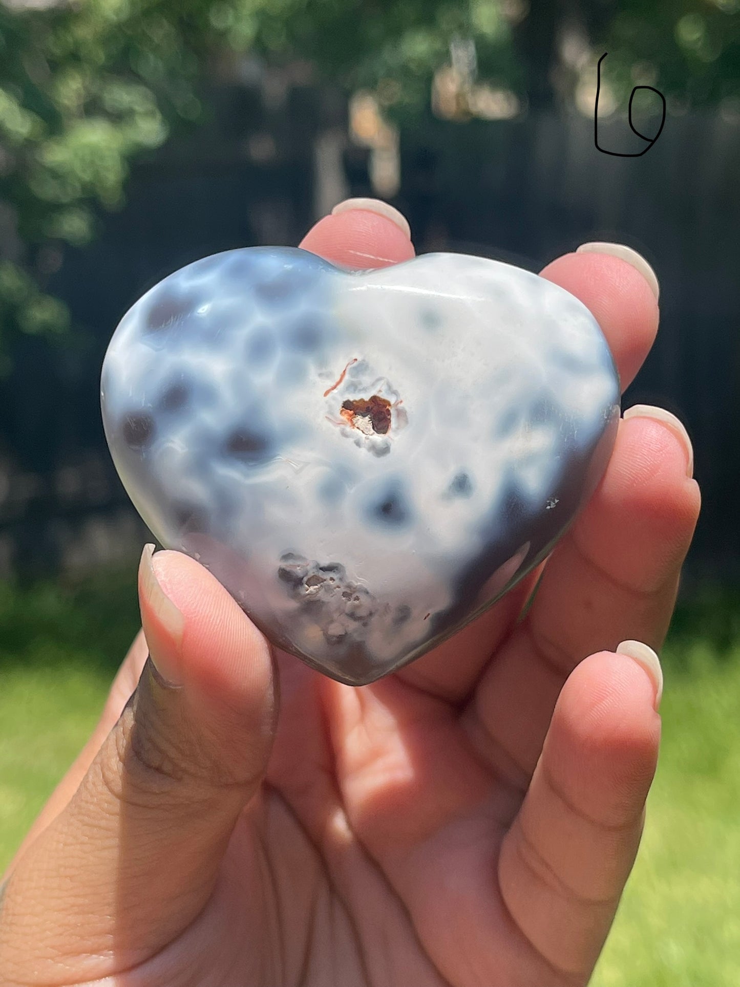 Orca Agate Hearts
