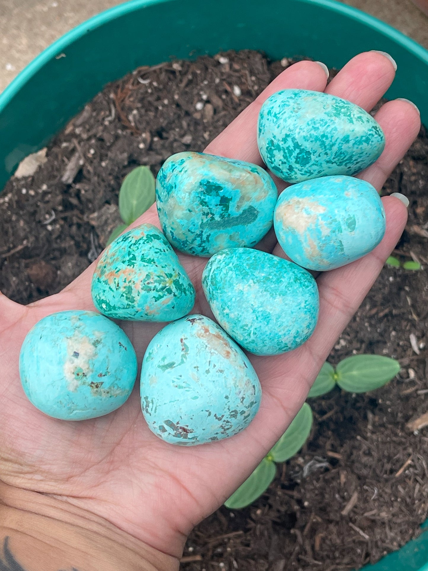Peruvian Turquoise Tumbles & Palm Stones