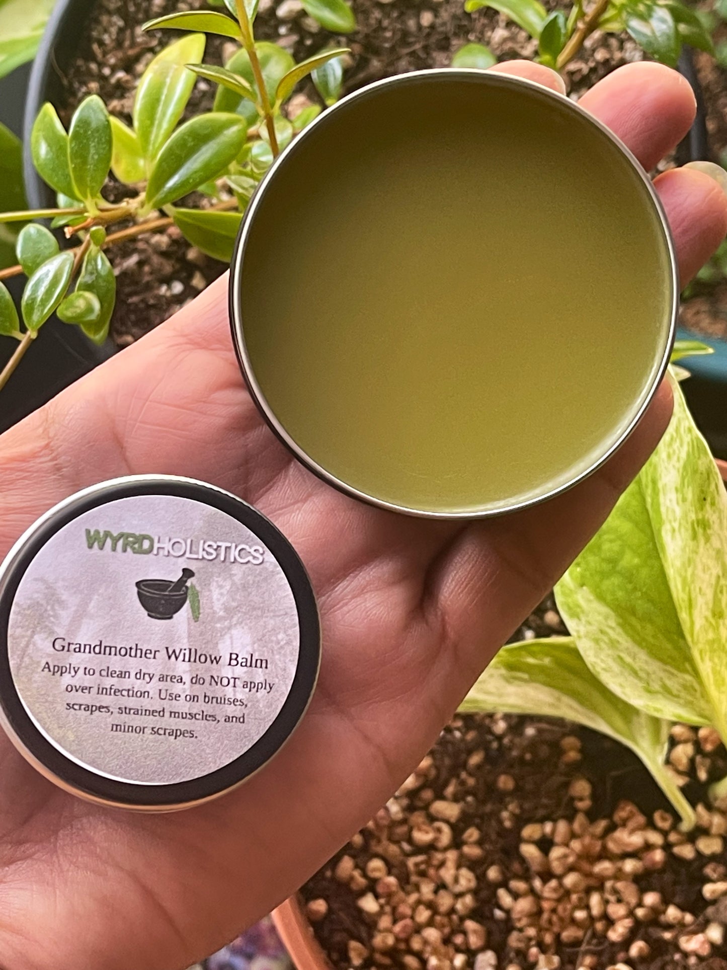 Grandmother Willow Balm