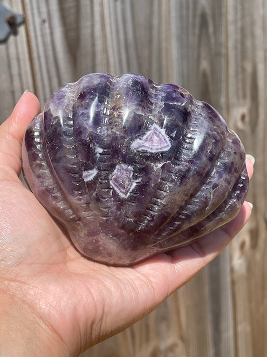 Amethyst Shell # 2