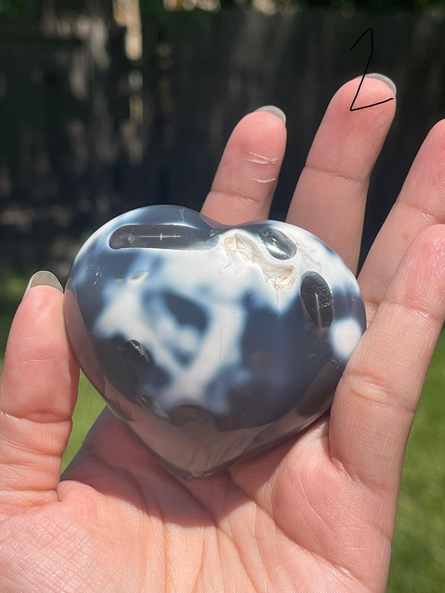 Orca Agate Hearts