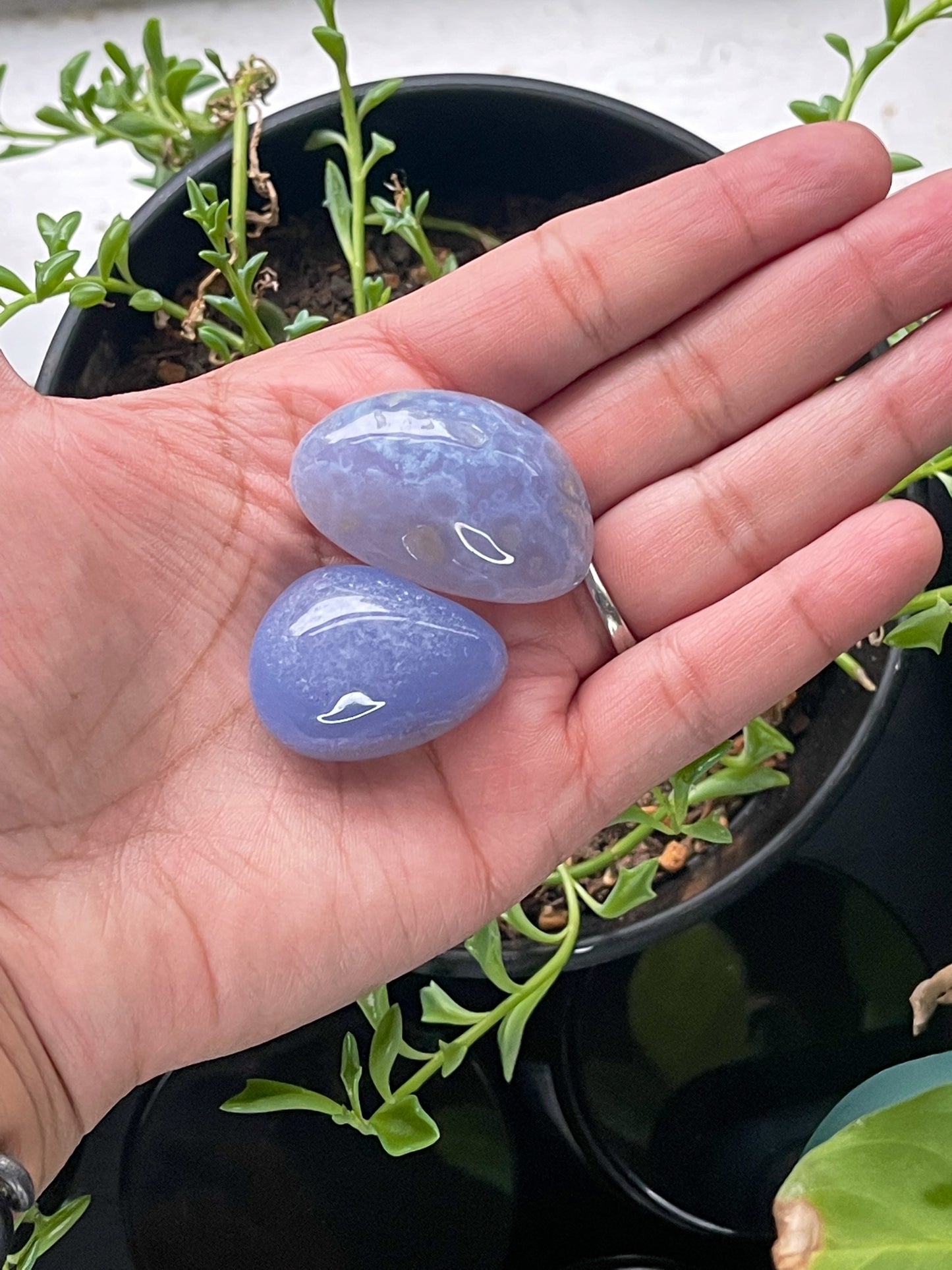 Blue Chalcedony Tumbles